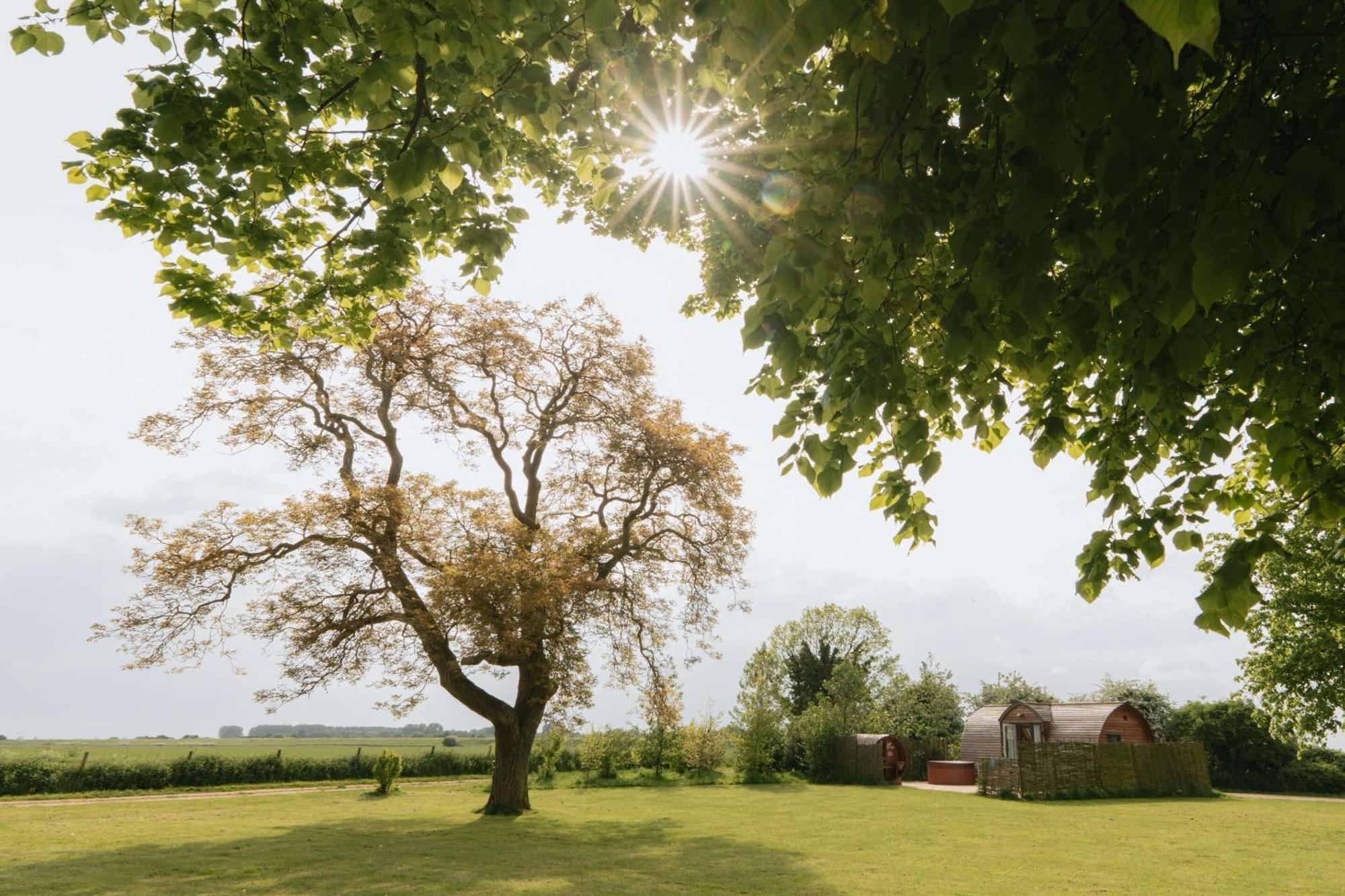 Crowtree By Wigwam Holidays Spalding Rom bilde